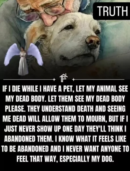 let_them_see let_them_see