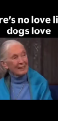 jane_goodall