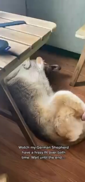 bath_time