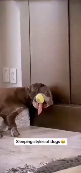 weird_sleep