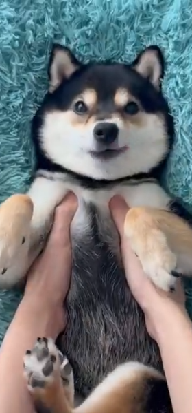 spa_day spa_day