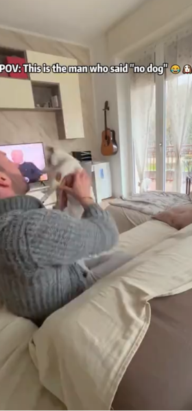 dads_n_dogs dads_n_dogs