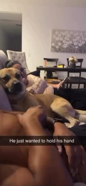 hold_hands hold_hands