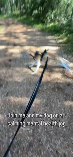 sure-go-for-a-jog