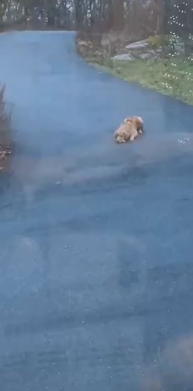 cant_see_me