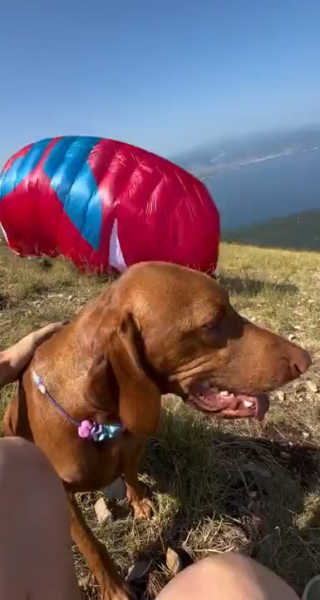 i_can_fly